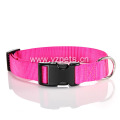 Colorful Nylon Dog Collar